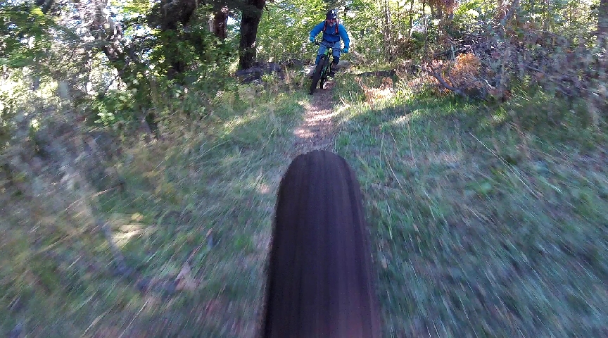 29271EF811A77D73C1D9FC21085E16D4