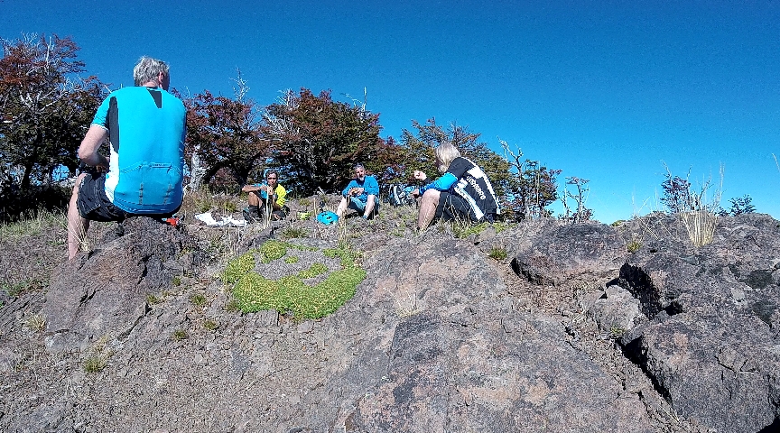 95D97C6C6A296ADD1BB288649A986356